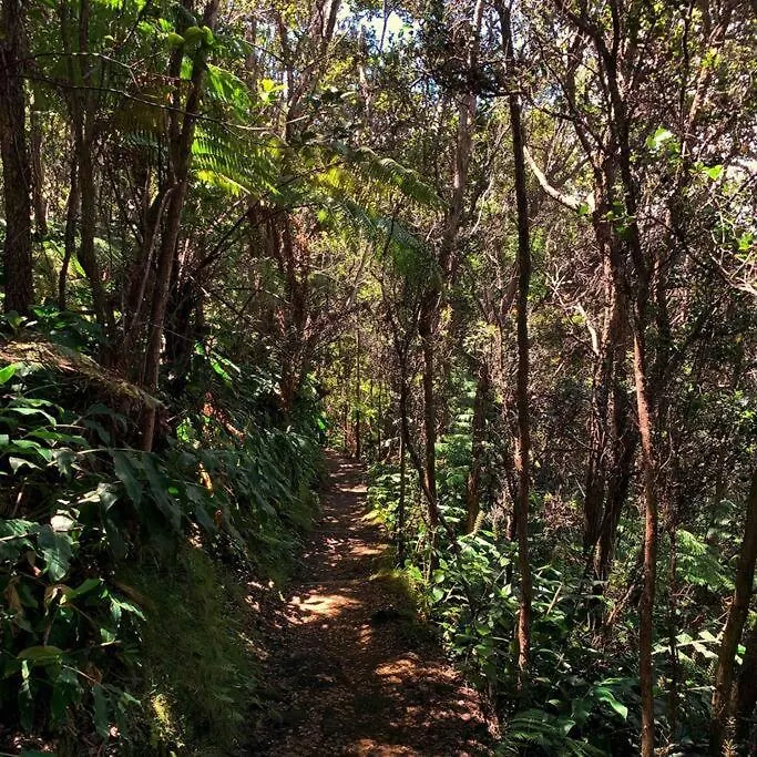 Romantic Retreat, Relax At Hot-Tub, Indoor & Outdoor Shower, Firepit, 5 Min To Hawaii Volcano Park USA