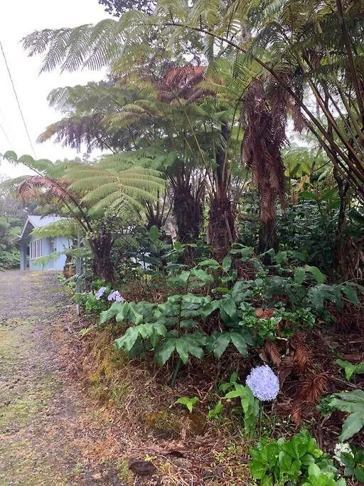 Dom wakacyjny Romantic Retreat, Relax At Hot-Tub, Indoor & Outdoor Shower, Firepit, 5 Min To Hawaii Volcano Park
