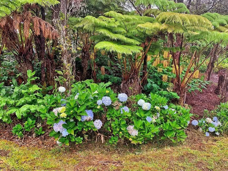 Romantic Retreat, Relax At Hot-Tub, Indoor & Outdoor Shower, Firepit, 5 Min To Hawaii Volcano Park 0*,